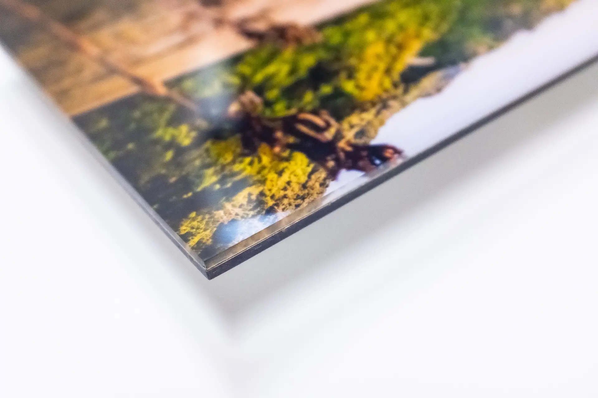 Acrylic Photo Prints 2mm - Image 3