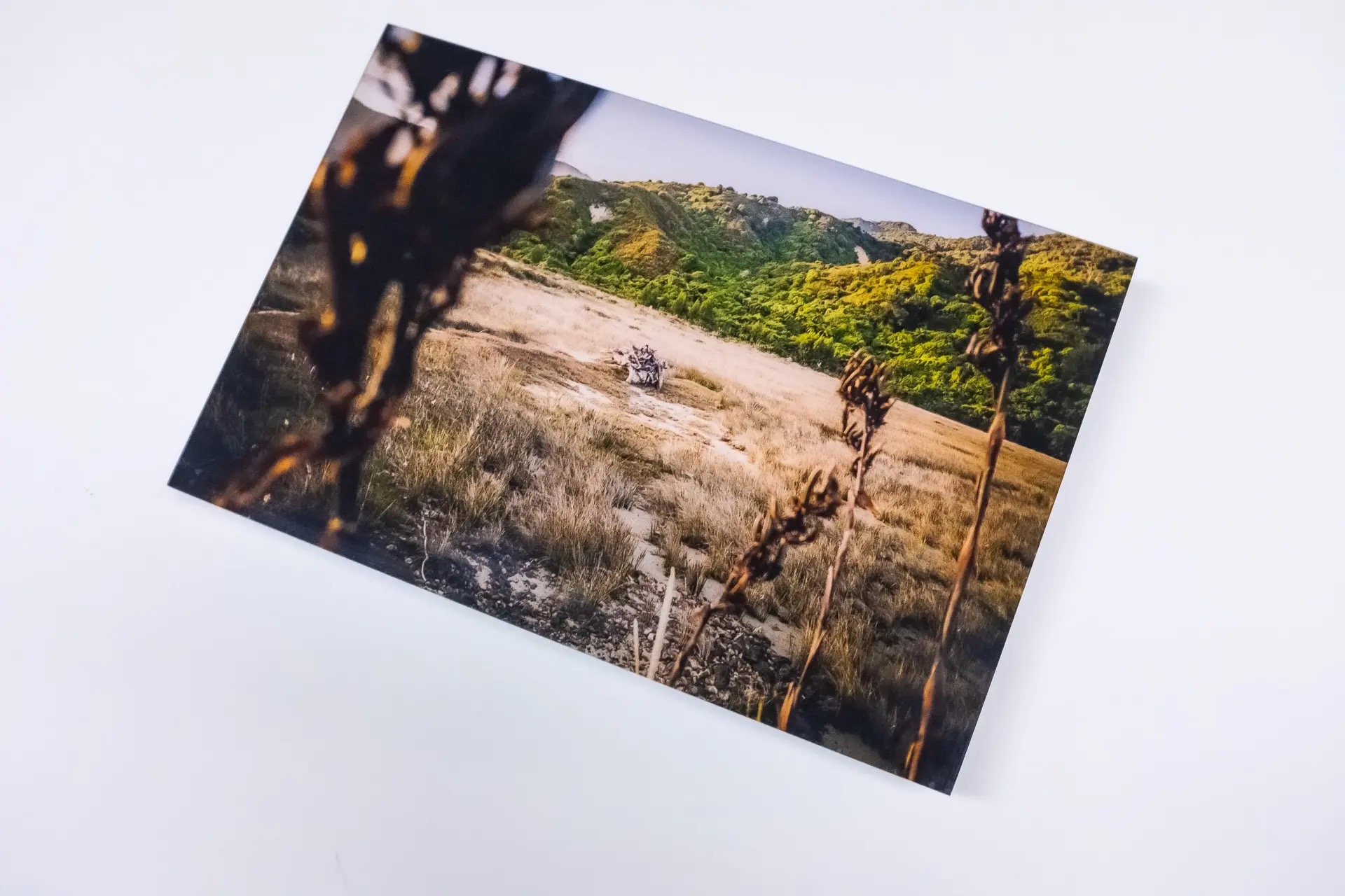 Acrylic Photo Prints 2mm - Image 4