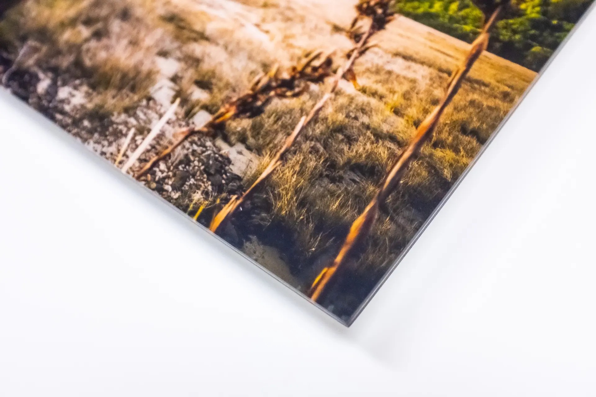 Acrylic Photo Prints 2mm - Image 5