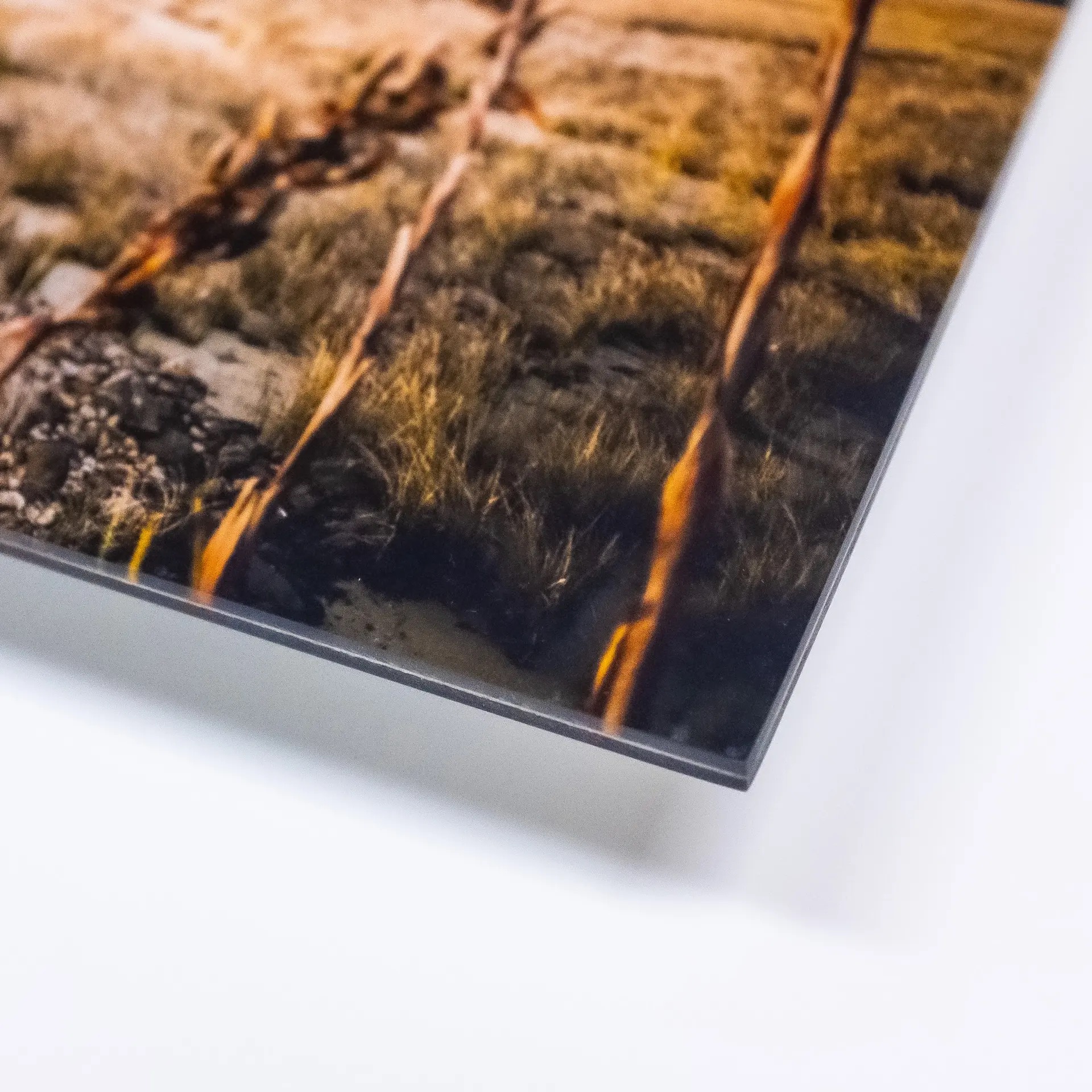 Acrylic Photo Prints 2mm - Image 6