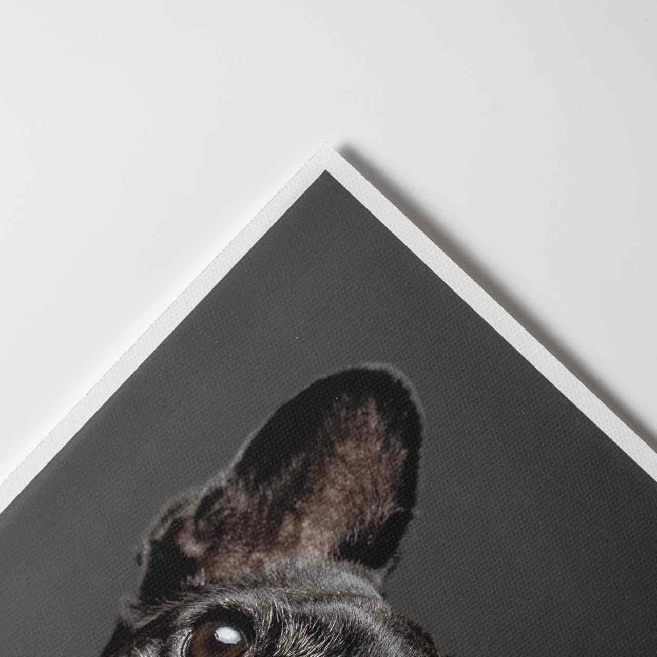 Canvas Inkjet Prints - Image 4