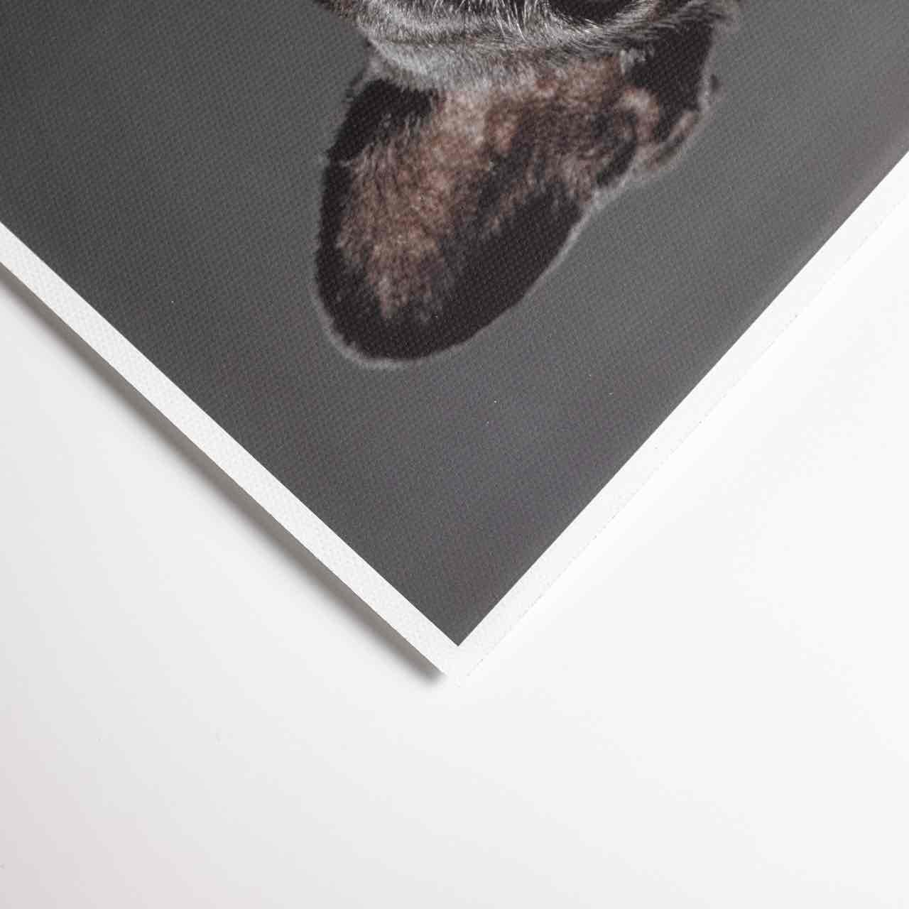 Canvas Inkjet Prints