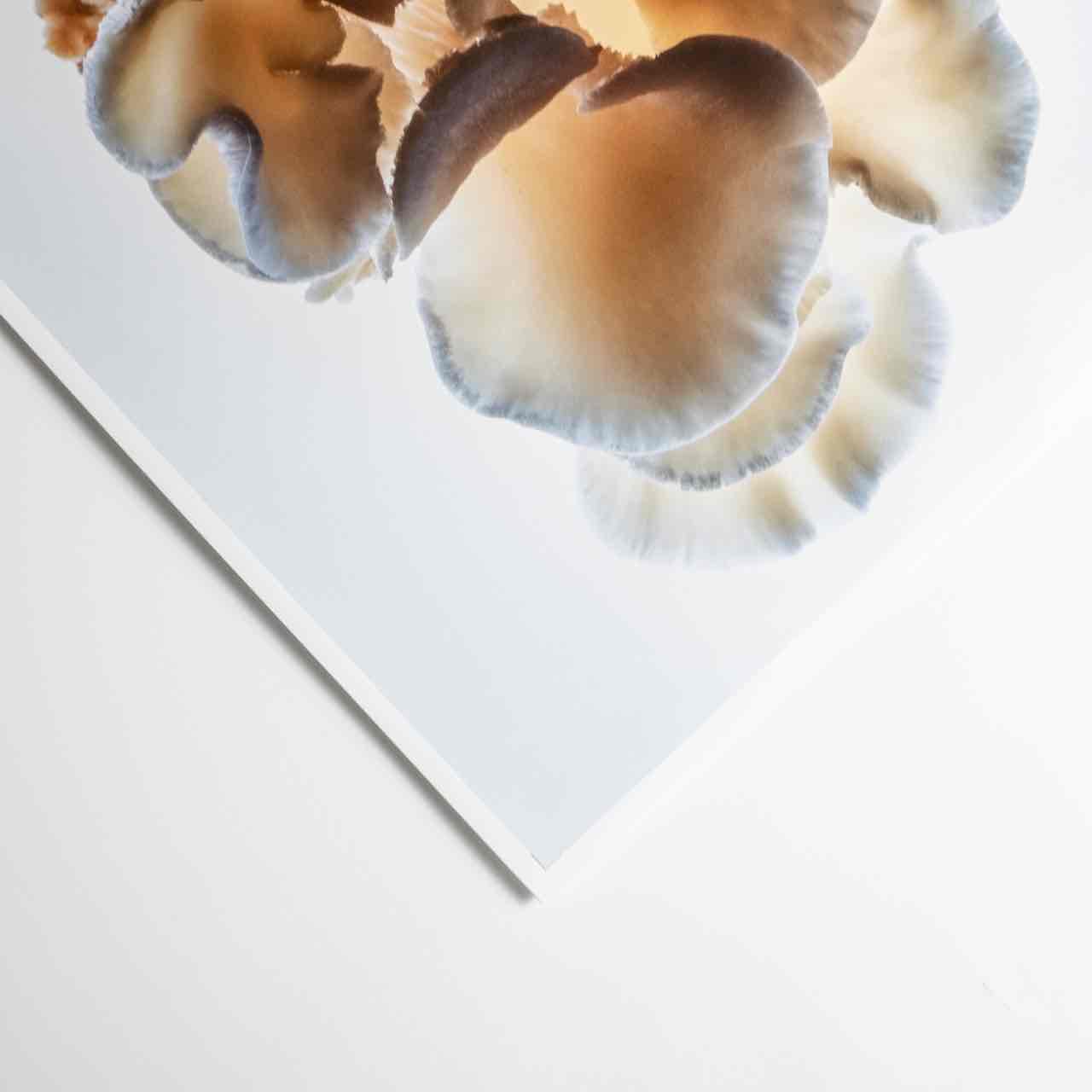 Giclée Prints (Hahnemüle) - Image 4
