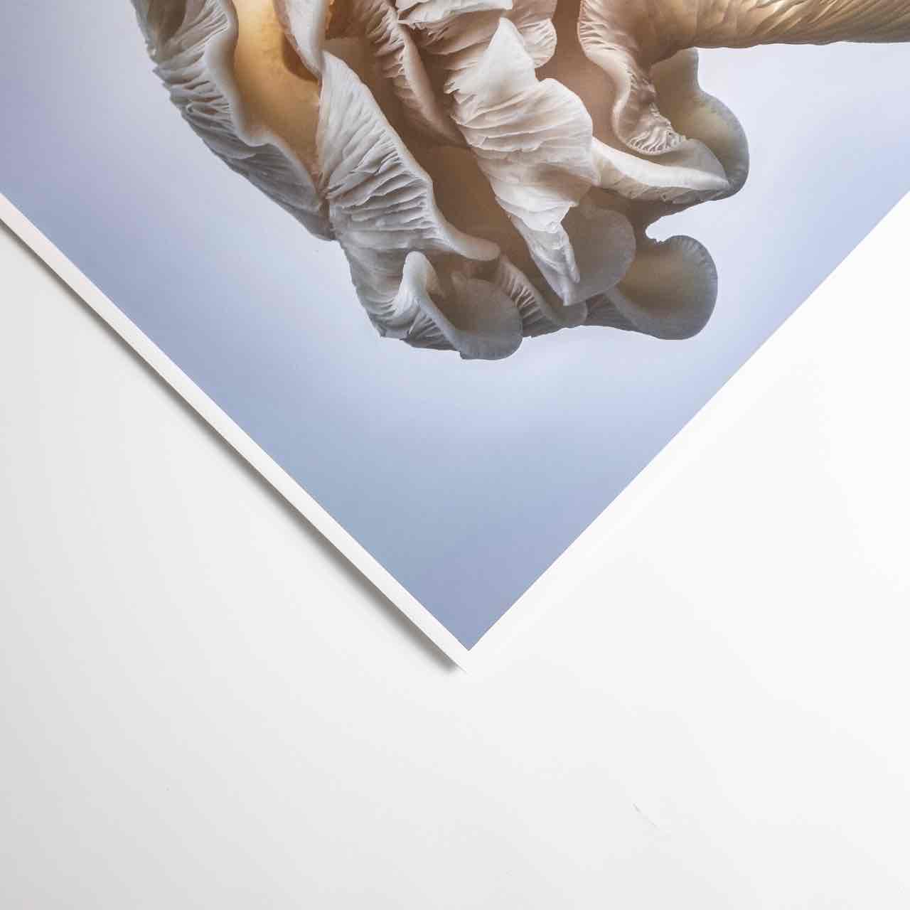 Giclée Prints (Hahnemüle) - Image 7