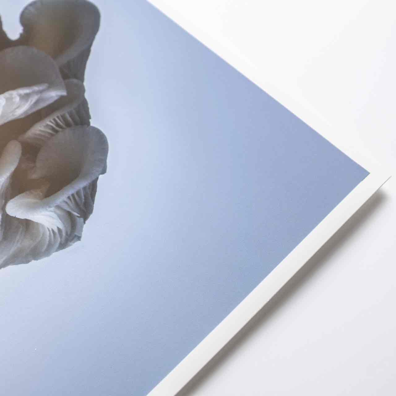 Giclée Prints (Hahnemüle) - Image 6