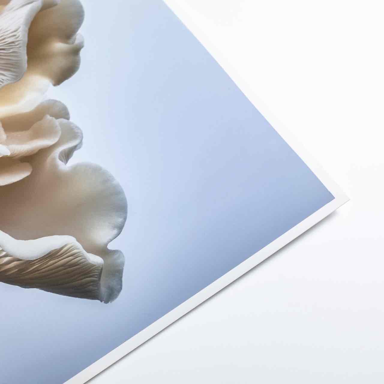 Giclée Prints (Hahnemüle) - Image 5